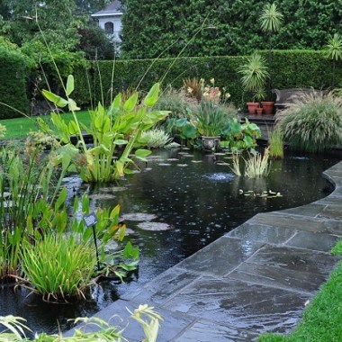 63_Pond